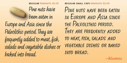 Pine Nuts Font Poster 5