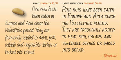 Pine Nuts Font Poster 4