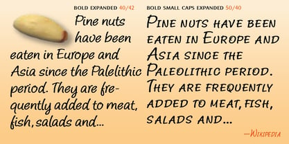 Pine Nuts Font Poster 9