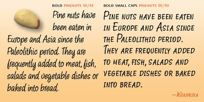 Pine Nuts Font Poster 6