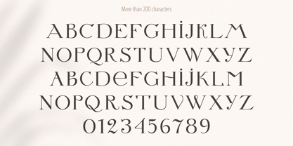 Letterature Font Poster 3