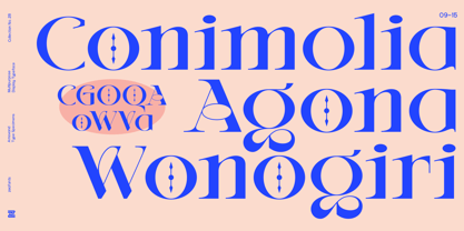 Amovand Font Poster 9