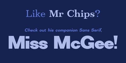 Mr Chips Police Affiche 14