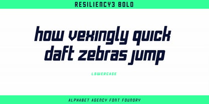 Resiliency3 Font Poster 4