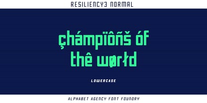 Resiliency3 Font Poster 5