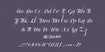 Bahagia Script Font Poster 4