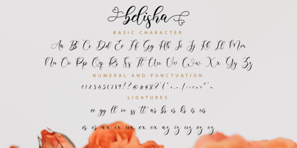 Belisha Font Poster 11