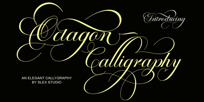 Octagon Calligraphy Font Poster 1