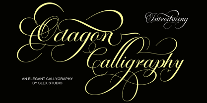 Octagon Calligraphy Fuente Póster 1