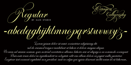 Octagon Calligraphy Font Poster 5