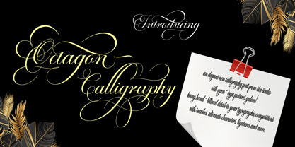 Octagon Calligraphy Font Poster 2