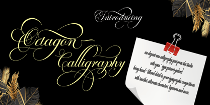 Octagon Calligraphy Fuente Póster 2