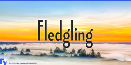 Fledgling Font Poster 1