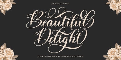 Beautiful Delight Font Poster 1