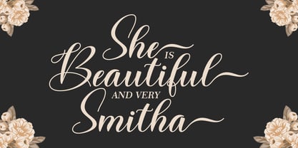 Beautiful Delight Font Poster 2