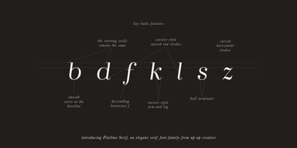 Flatline Serif Font Poster 4