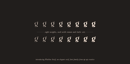 Flatline Serif Font Poster 2