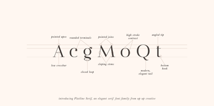 Flatline Serif Font Poster 3