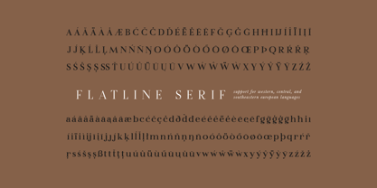 Flatline Serif Font Poster 11