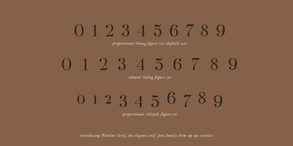 Flatline Serif Font Poster 10