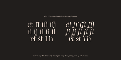 Flatline Serif Font Poster 7