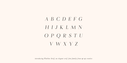 Flatline Serif Font Poster 5