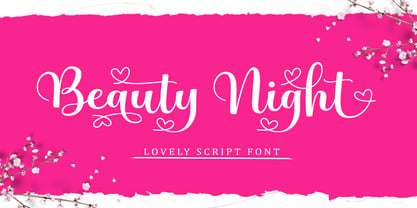 Beauty Night Script Font Poster 1