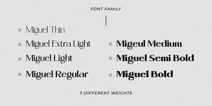 Miguel Font Poster 5