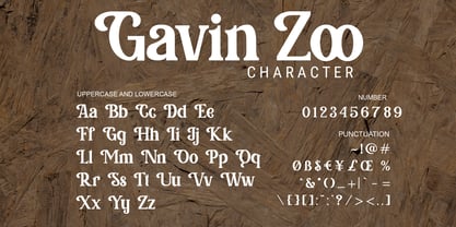 Gavin Zoo Font Poster 5