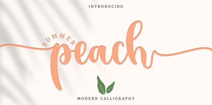 Summer Peach Font Poster 1