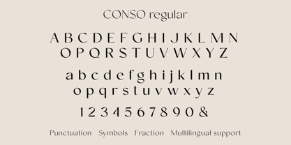 Conso Font Poster 14