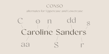 Conso Font Poster 7