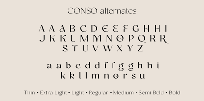 Conso Font Poster 15