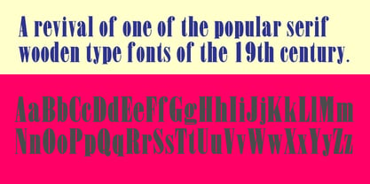 Penny Font Poster 5