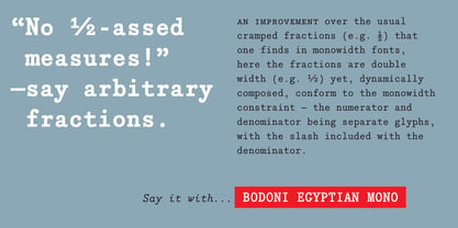 Bodoni Egyptian Mono Font Poster 5
