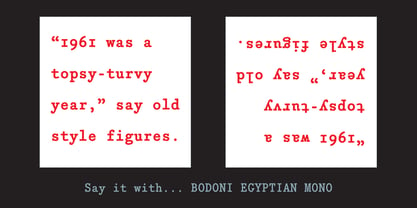 Bodoni Egyptian Mono Font Poster 4