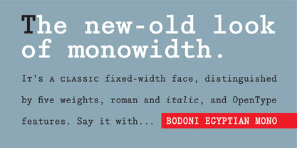 Bodoni Egyptian Mono Font Poster 2