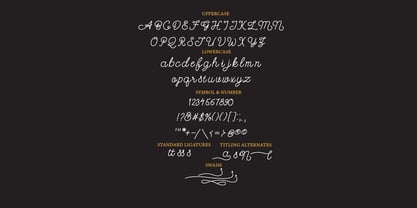 Noodle Monoline Font Poster 4