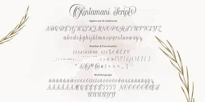 Kintamani Script Fuente Póster 7