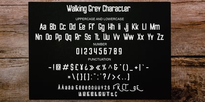 Walking Grey Font Poster 4
