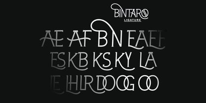 Bintaro Font Poster 8