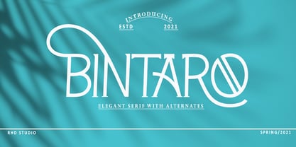 Bintaro Font Poster 1