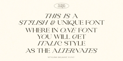 Stylish Delight Font Poster 2