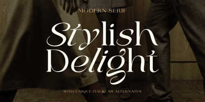 Stylish Delight Font Poster 1