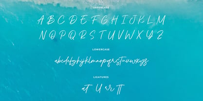 Aquatype Signature Font Poster 11