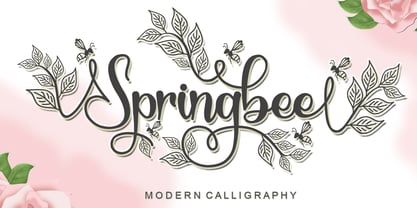 Springbee Fuente Póster 9