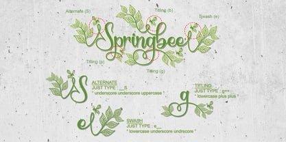 Springbee Font Poster 7