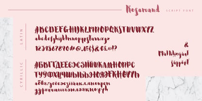 Rosamund Cyrillic Font Poster 12