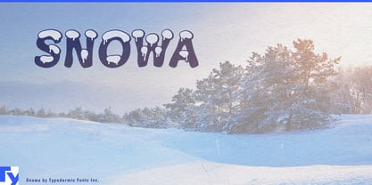 Snowa Font Poster 1