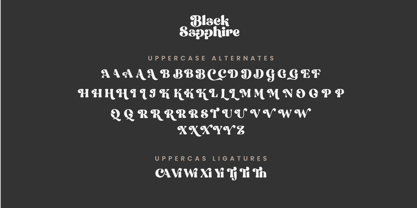 Black Sapphire Font Poster 14